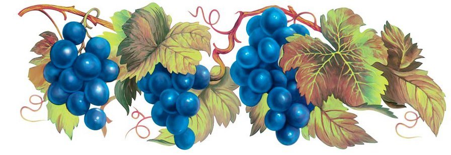 лоза - виноград - оригинал