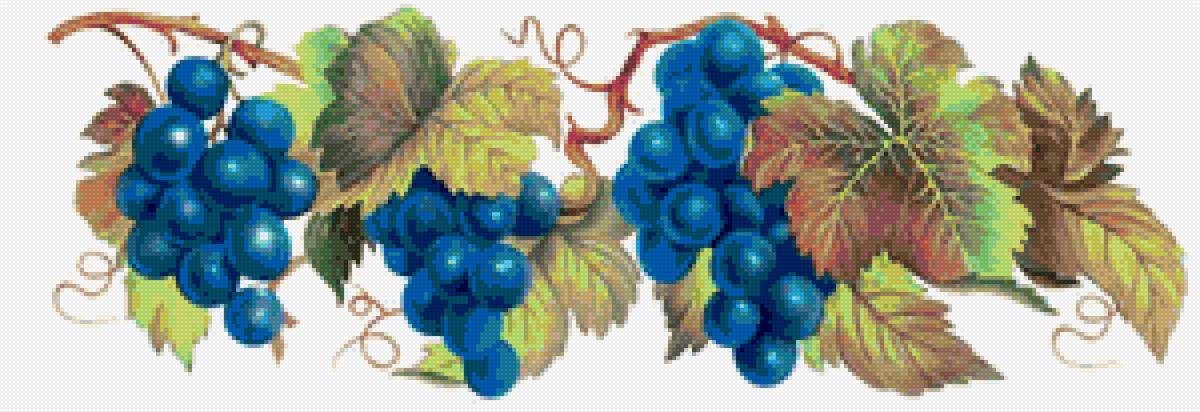 лоза - виноград - предпросмотр