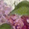 Предпросмотр схемы вышивки «Сирень» (№2467794)
