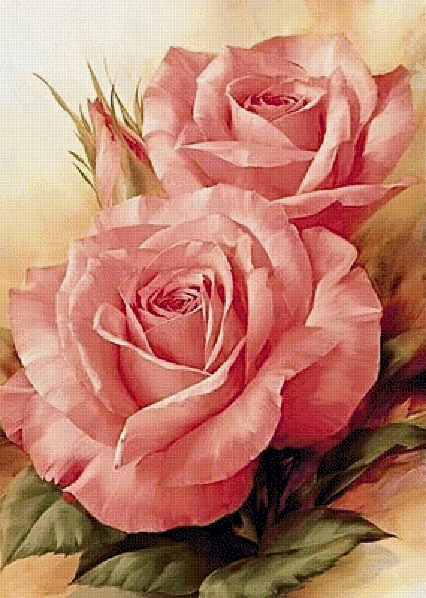 Розы - цветы, растения - предпросмотр