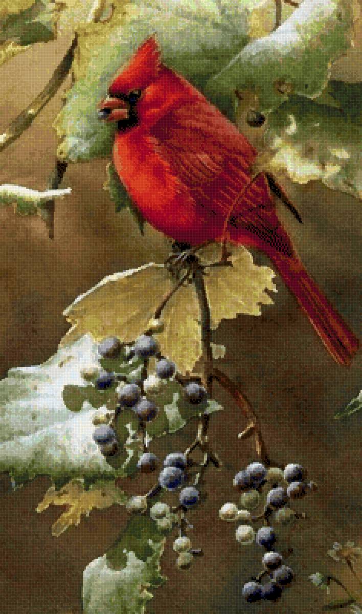 Птица акварель - предпросмотр