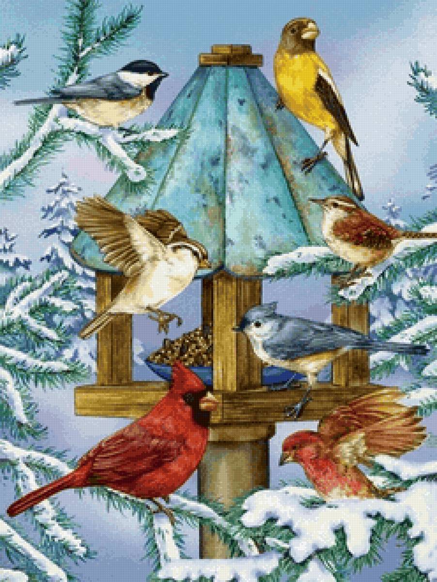 птицы - рисунок - предпросмотр