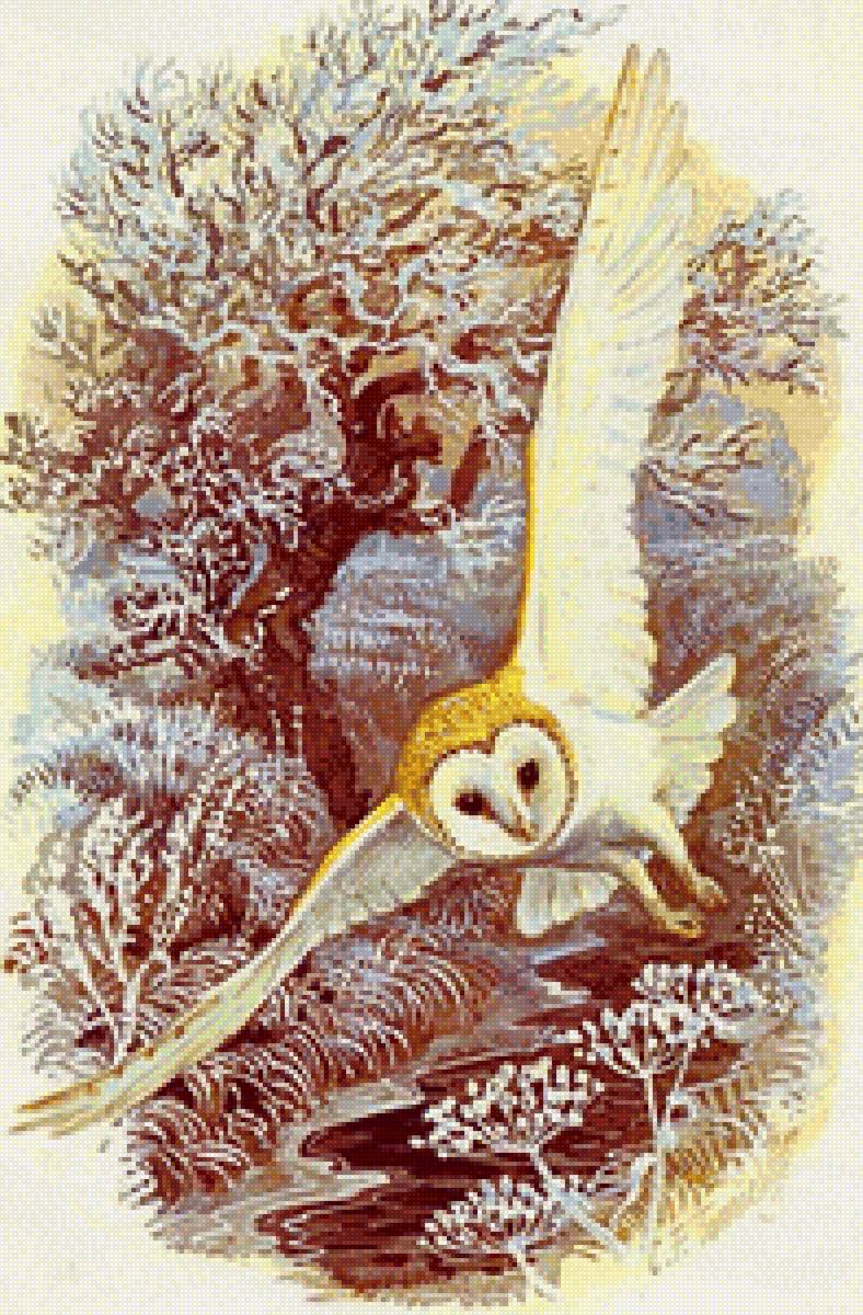 сова - рисунок - предпросмотр