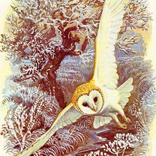 Схема вышивки «сова»