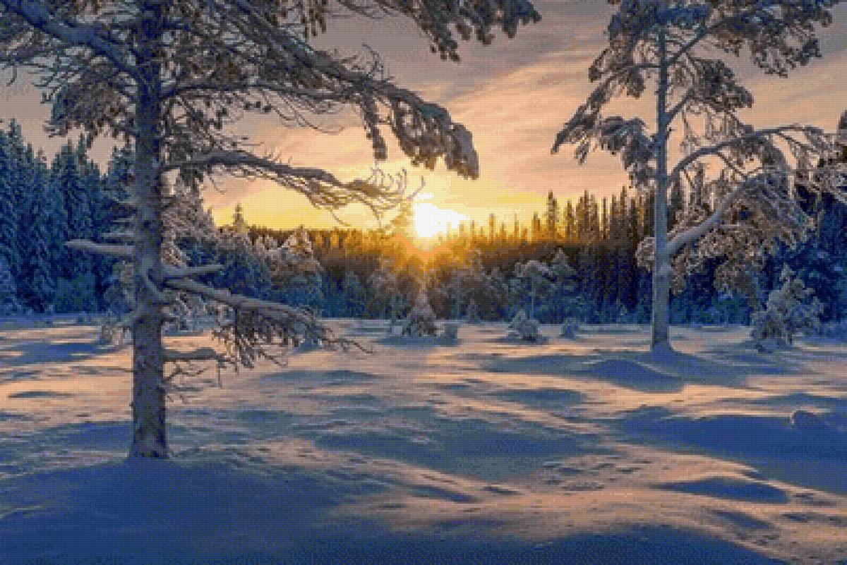 №2468562 - предпросмотр