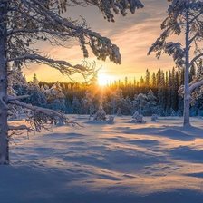 Схема вышивки «№2468562»