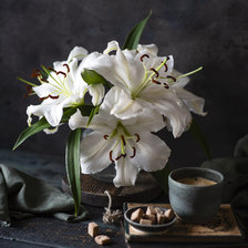 Схема вышивки «Лилии белые»