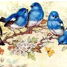 Схема вышивки «Птички»