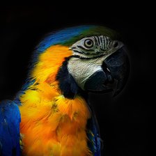 Схема вышивки «Аро»