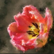 Схема вышивки «тюльпан»