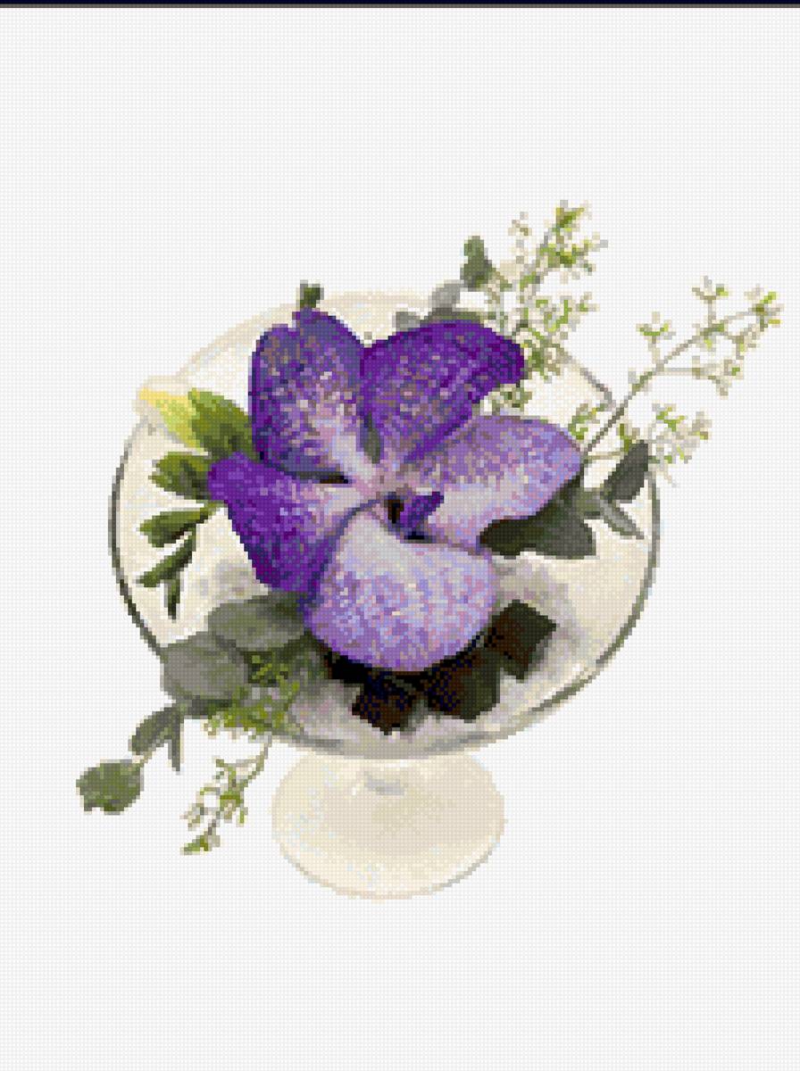 Орхидея - предпросмотр