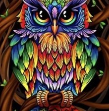 Схема вышивки «Сова»