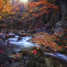 Схема вышивки «Природа»