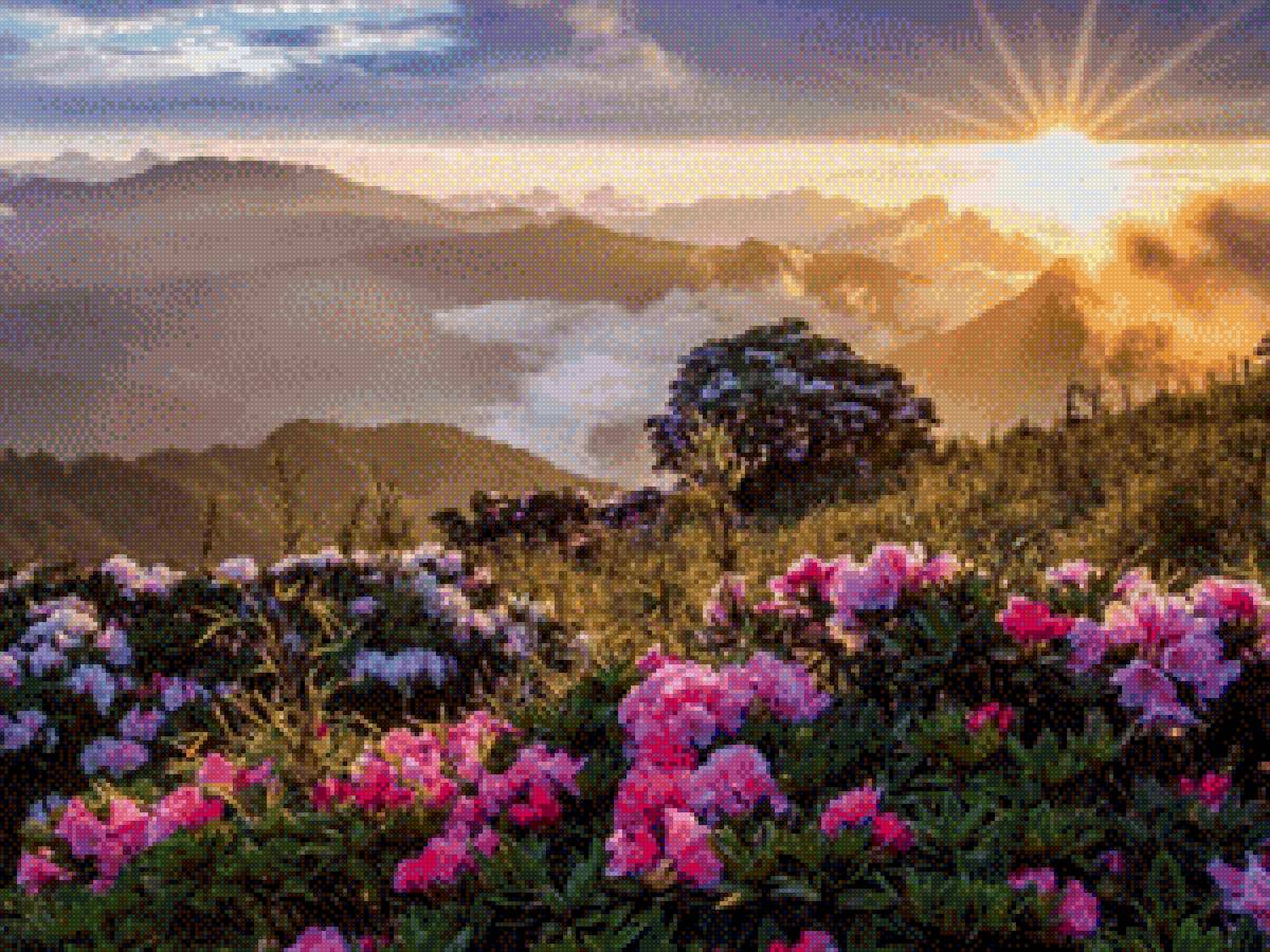 Рассвет - предпросмотр