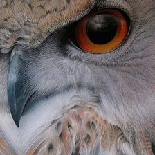 Схема вышивки «Филин»