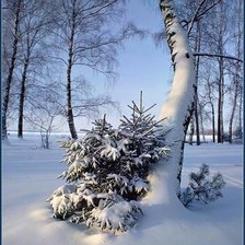 Оригинал схемы вышивки «№2469467»