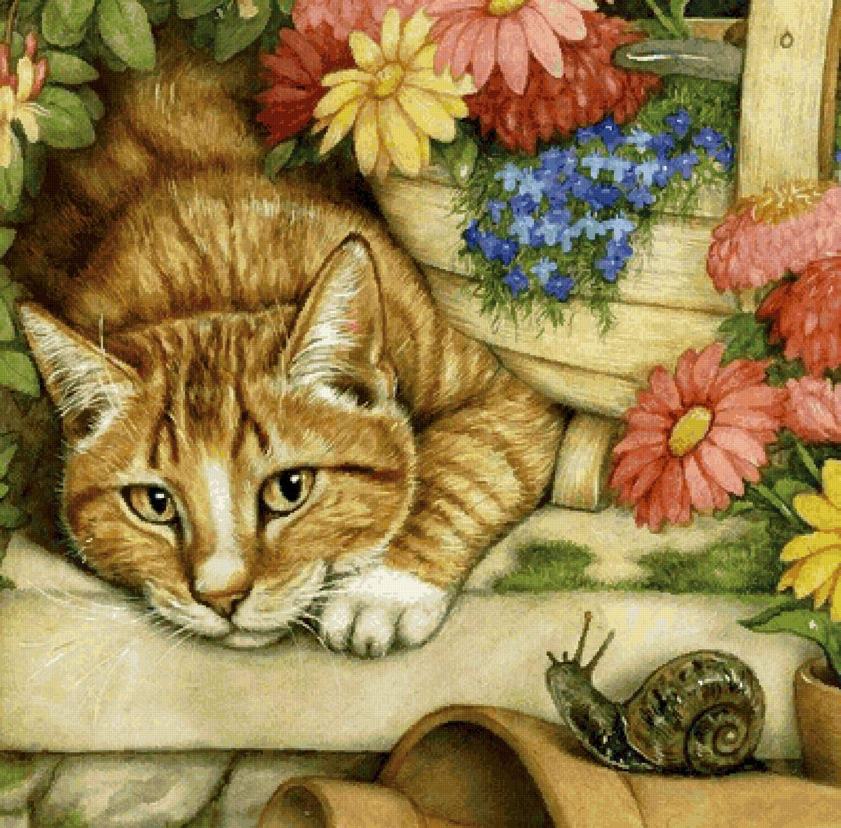 Рыжий кот - забавные котики - предпросмотр