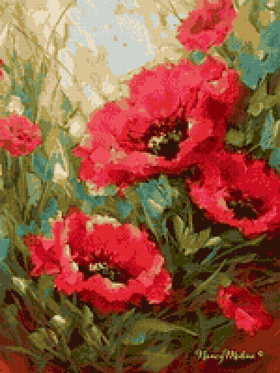 маки - цветы - предпросмотр