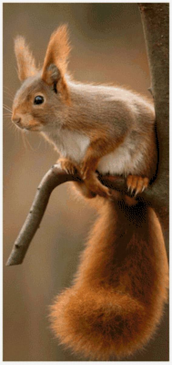 №2469693 - предпросмотр