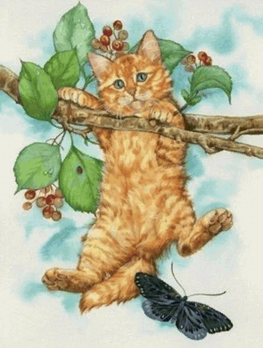 Рыжий котенок - забавные котики - предпросмотр