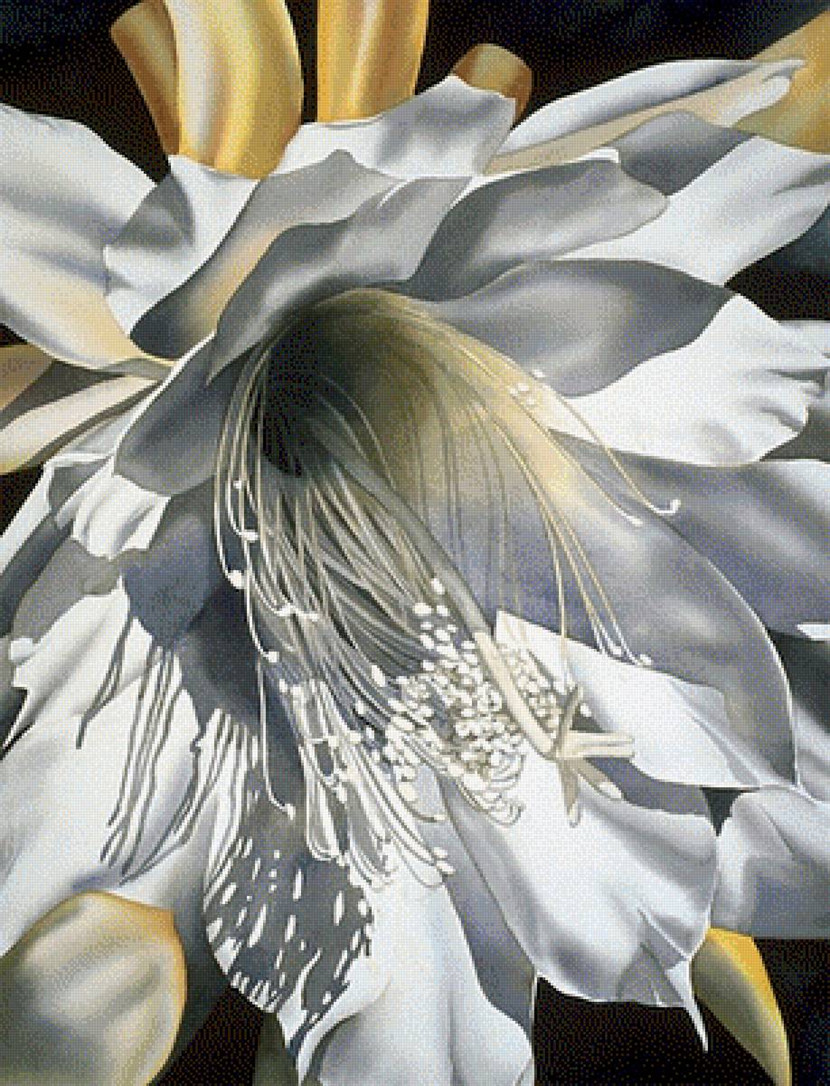 Цветок кактуса - цветы, растения - предпросмотр