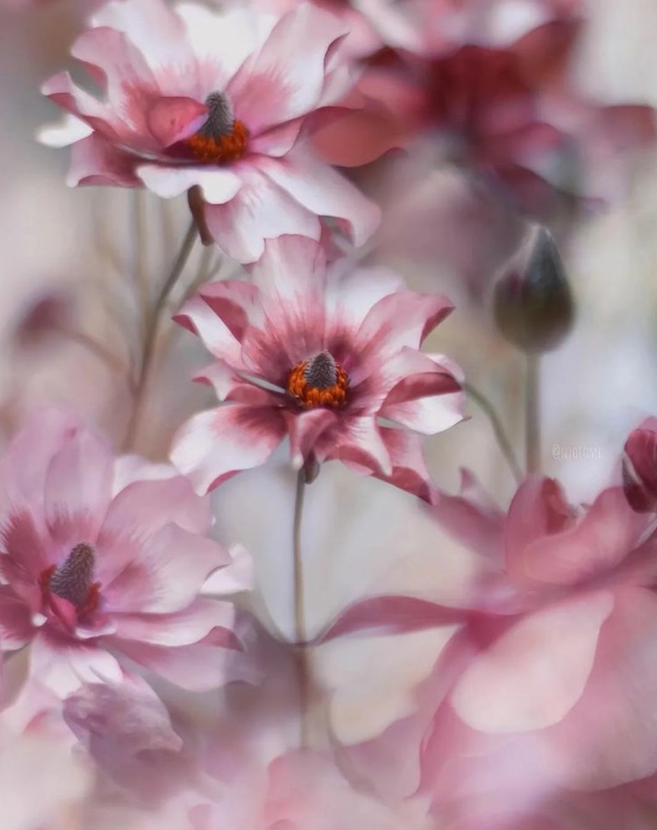 №2470000 - оригинал