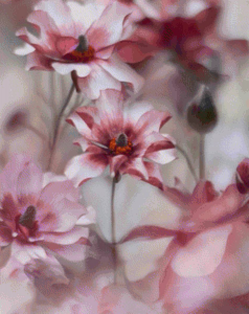 №2470000 - предпросмотр