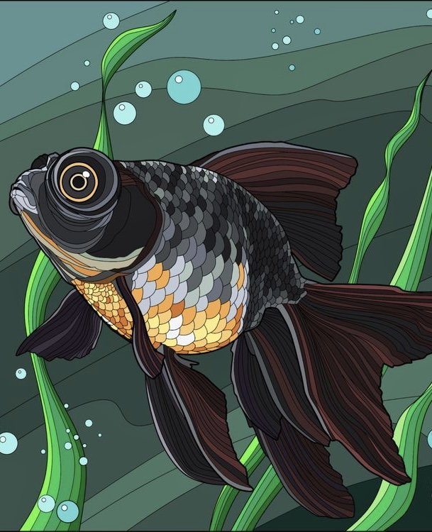 Рыбка-телескопик - рыбки - оригинал