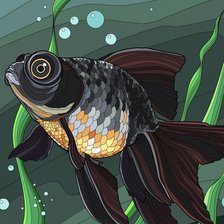 Рыбка-телескопик