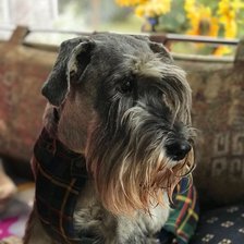 Схема вышивки «Линда»