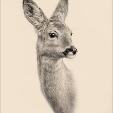 Схема вышивки «№2470362»