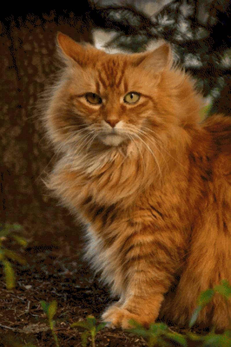 №2470740 - предпросмотр