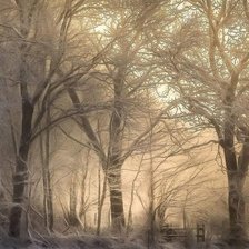 Схема вышивки «№2470741»