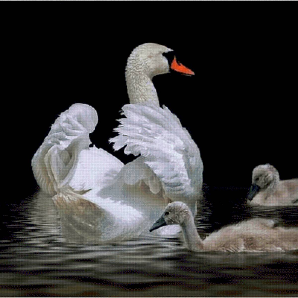 №2470750 - предпросмотр