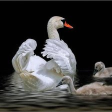 Схема вышивки «№2470750»