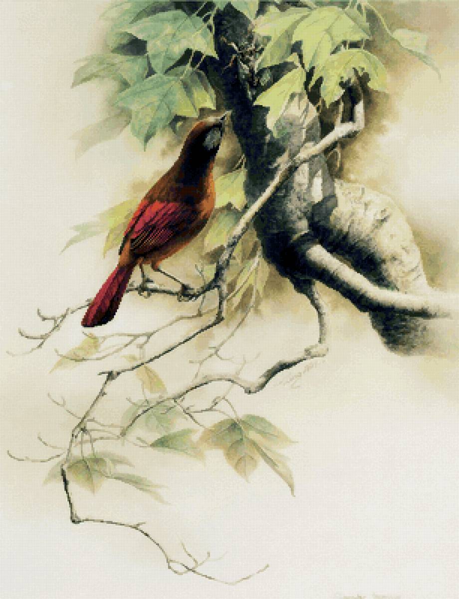 №2471148 - предпросмотр