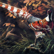 Схема вышивки «№2471157»