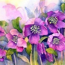 Схема вышивки «№2471739»