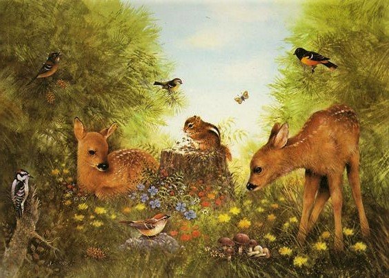 Оленята - животные - оригинал