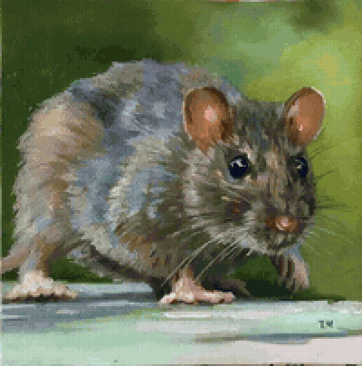 крыска - предпросмотр