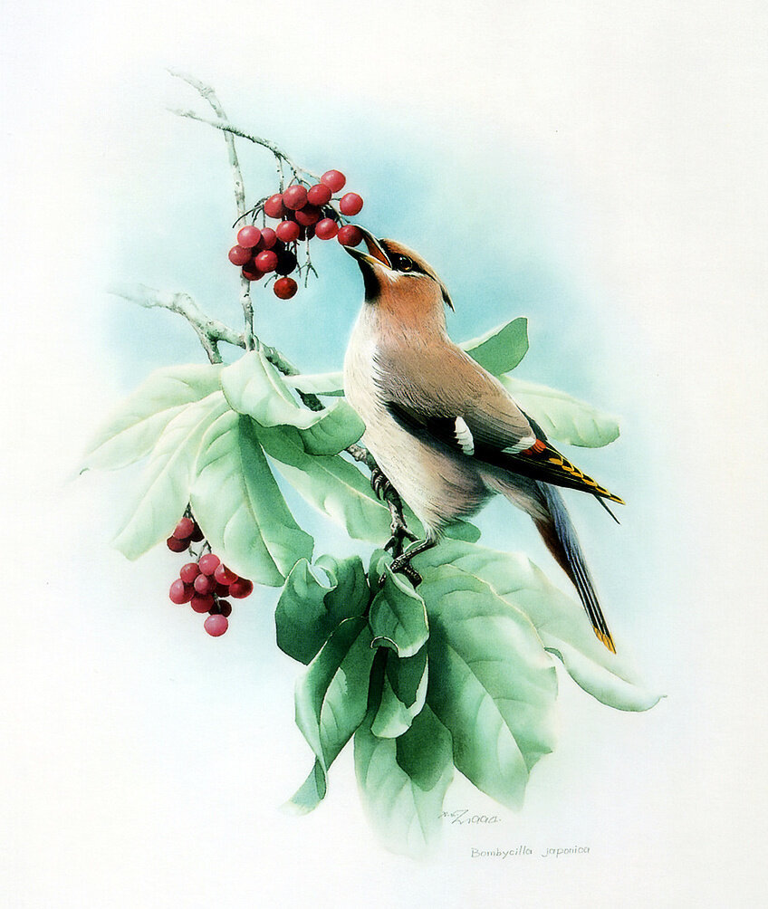 №2472035 - оригинал