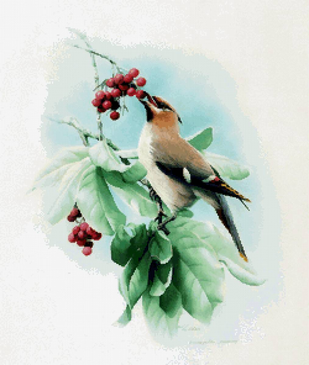 №2472035 - предпросмотр