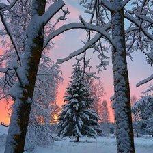 Оригинал схемы вышивки «№2472144»