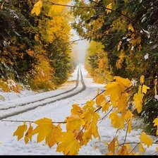 Схема вышивки «№2472187»