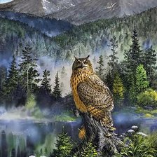 Схема вышивки «Сова»