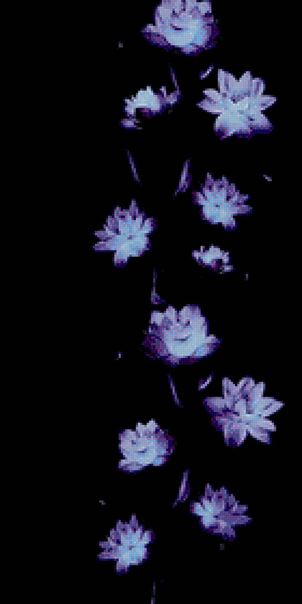 Цветы - предпросмотр