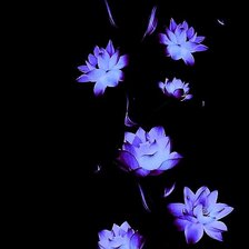 Схема вышивки «Цветы»