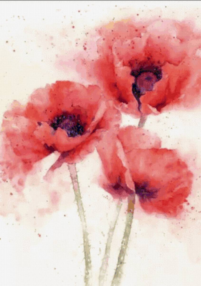 Amapola - naturaleza, flor - предпросмотр