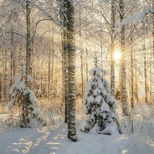 Схема вышивки «№2472943»