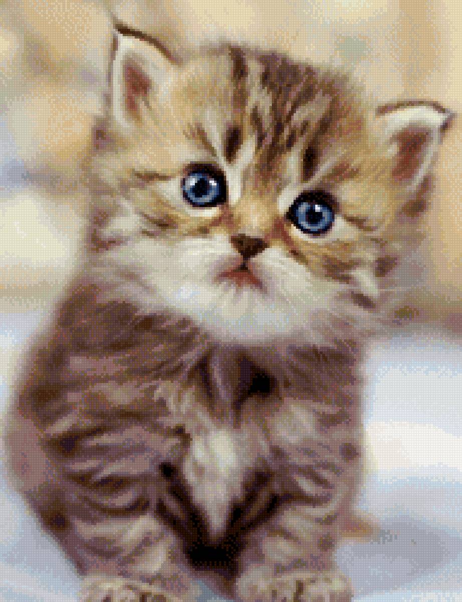 Котэ - детеныши, котята, красивые, животные, кошки - предпросмотр